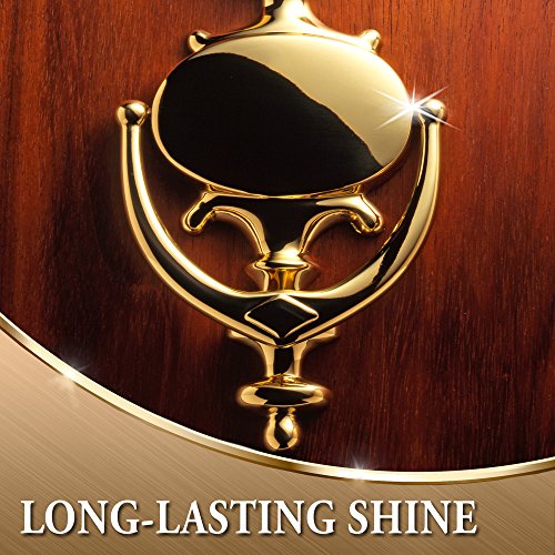 Polirana steklenica iz nerjavečega aluminija Brasso 1